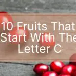 Fruits That Start With The Letter C