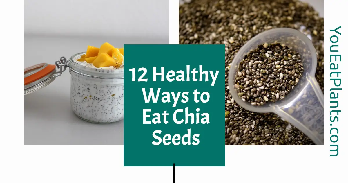 Ways to eat chia seeds
