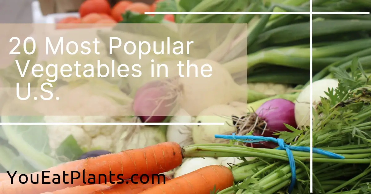20 most popular vegetables in the u.s.