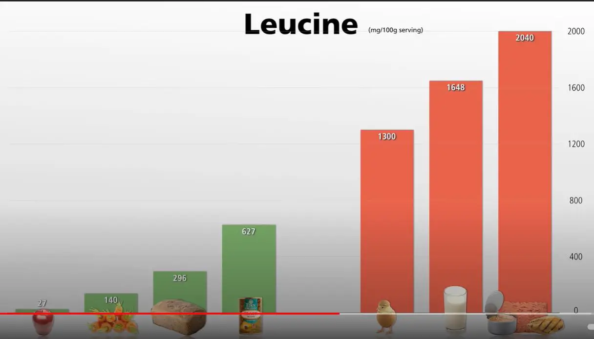 Levels of the amino acid leucine in foods