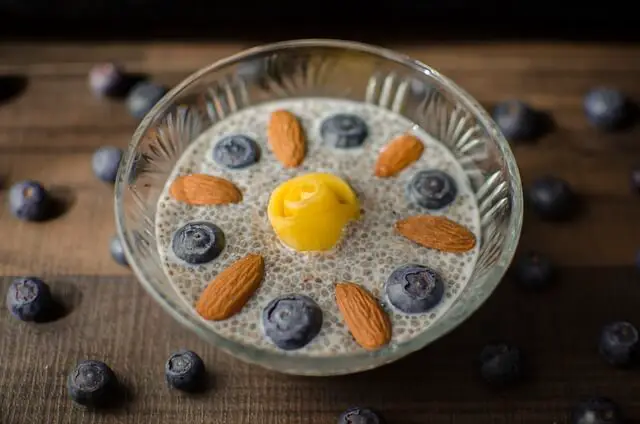 Healthy Chia Seed pudding