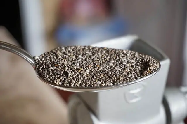 raw chia seeds on spoon