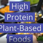 High Protein Plant-Based Foods for Vegetarians & Vegans