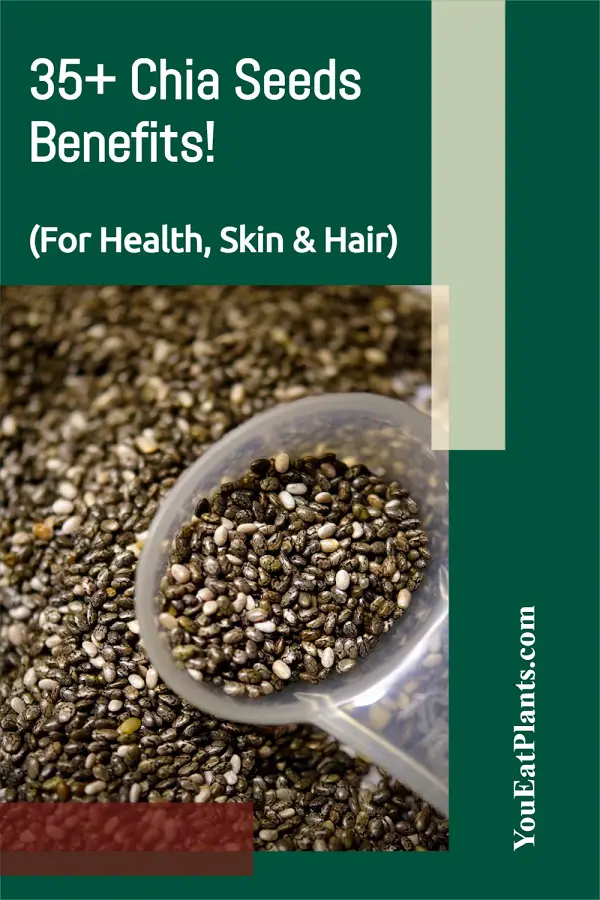 Chia Seeds Benefits for Health Skin & Haird