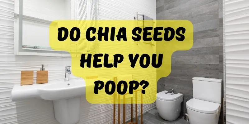 Do chia seeds help you poop?