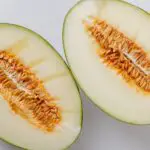 The Cantaloupe Fruit - What You Should Know