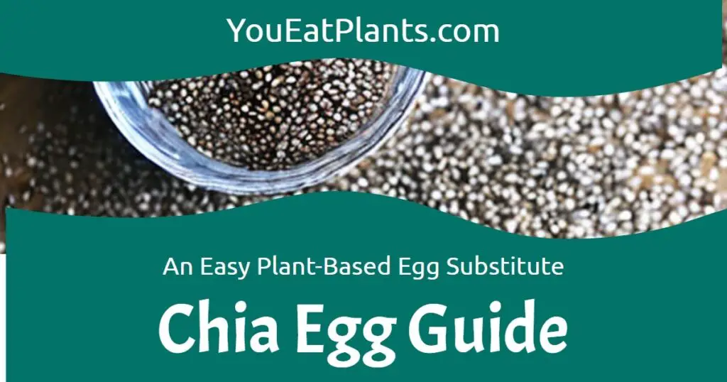 Chia egg guide