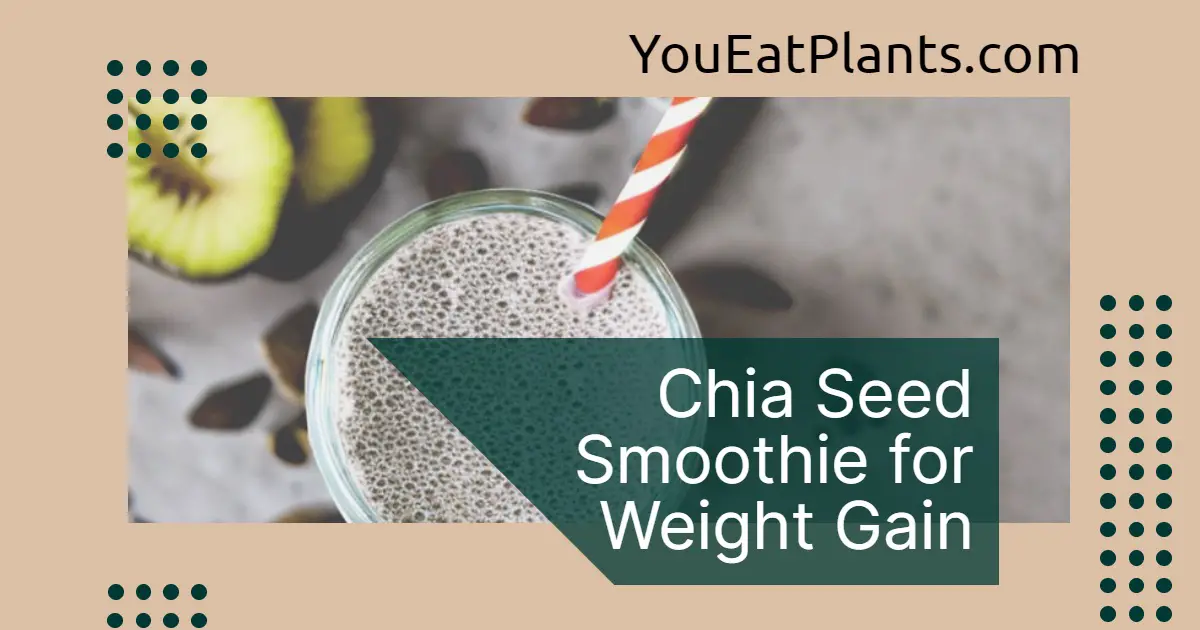 Chia seed smoothie for weight gain