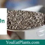 Are Chia Seeds Keto Friendly? A Close Look