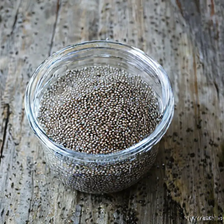 Chia seeds in water