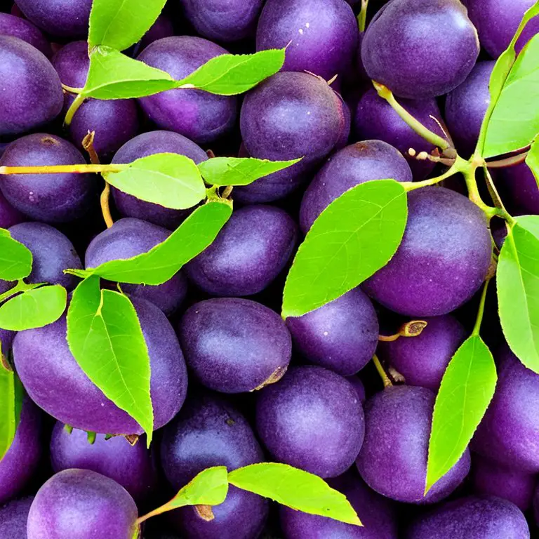 Damson plums