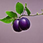 Can You Eat Damsons? (And How Do You Eat Them?)