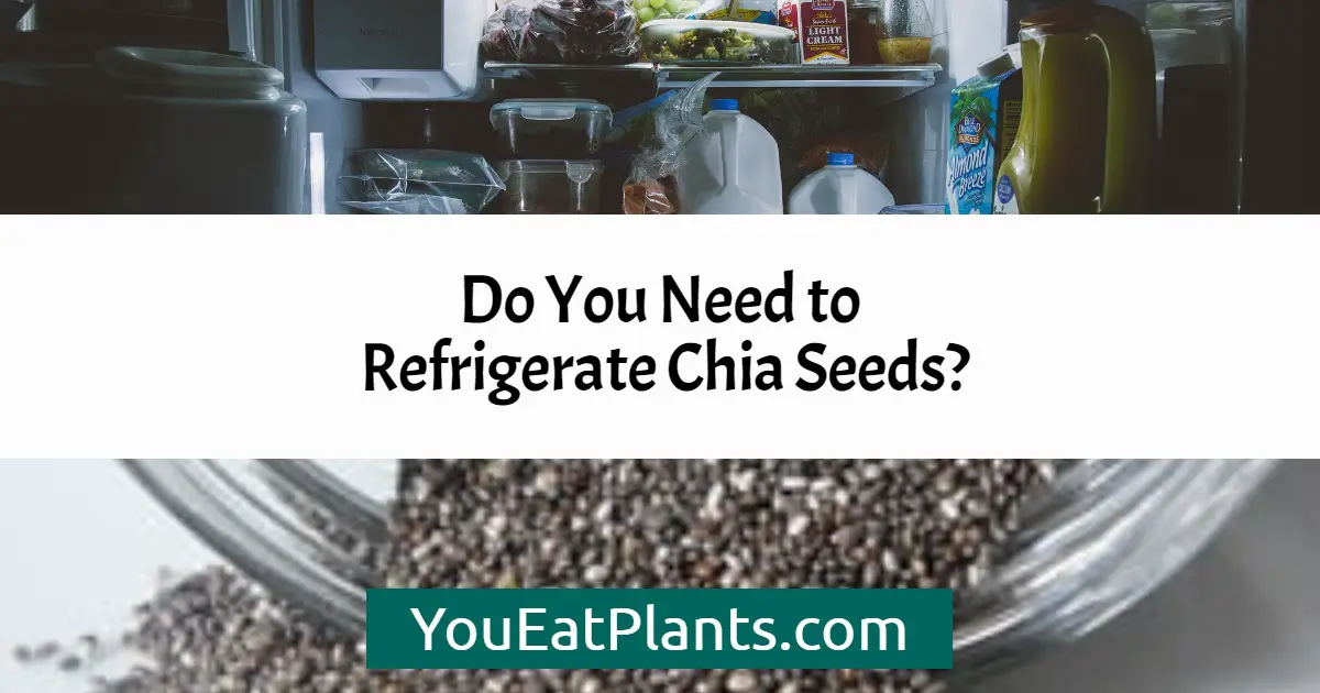 Do you need to refrigerate chia seeds?