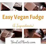 Easy Vegan Fudge Recipe (5 Ingredients!)