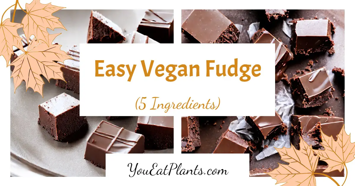 easy vegan fudge