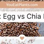 Flax egg vs chia egg