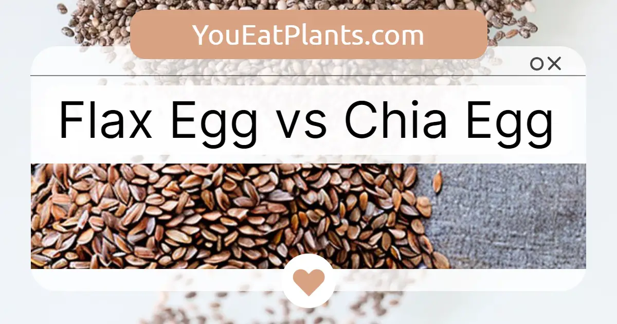 Flax egg vs chia egg