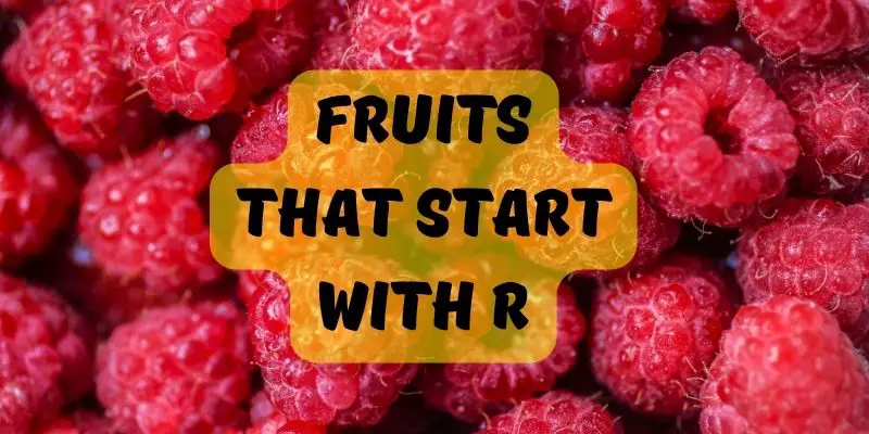 Fruits that start with R
