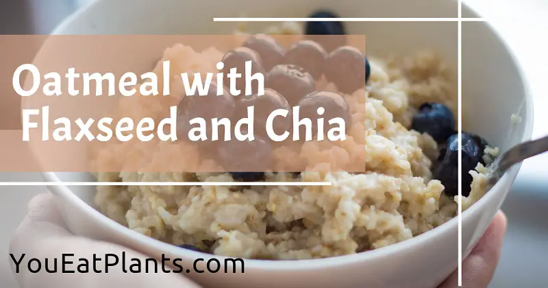 oatmeal with flaxseed and chia