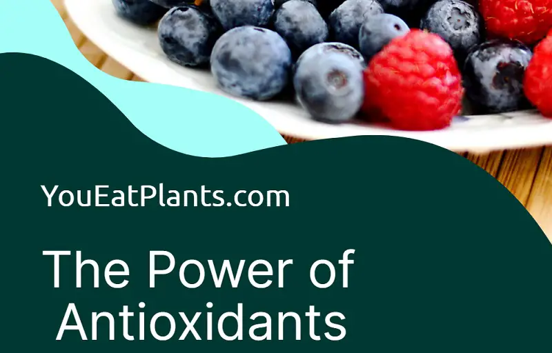 The Power of Antioxidants