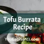 tofu-burrata-recipe