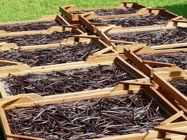 Vanilla beans in boxes