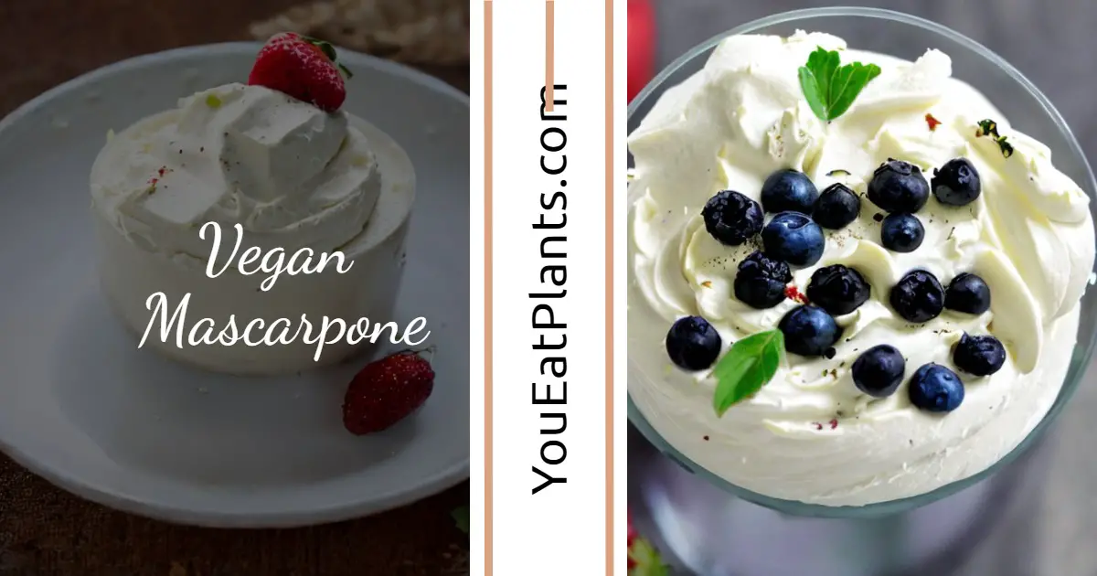 Vegan Mascarpone guide and recipe