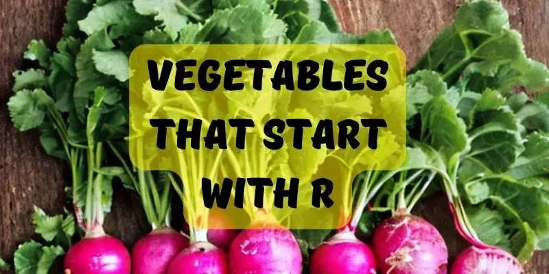 Vegetables that start with R