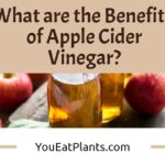 What are the benefits of apple cider vinegar?