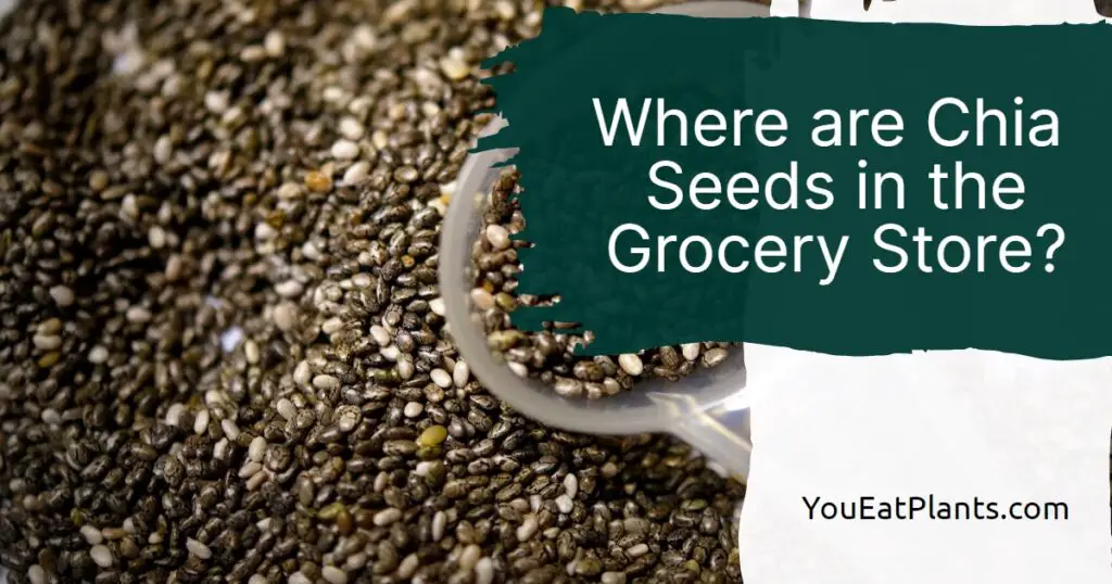 Where are chia seeds in the grocery store?